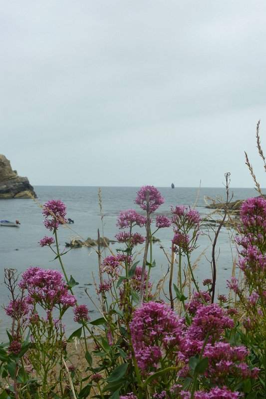 Engeland zuiden (o.a. Stonehenge) - 109